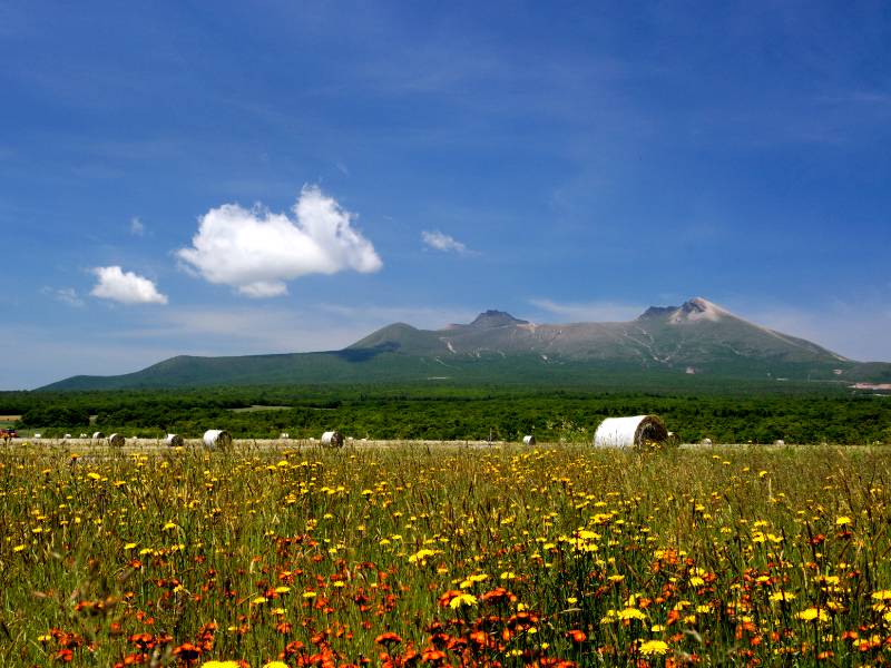 駒ヶ岳